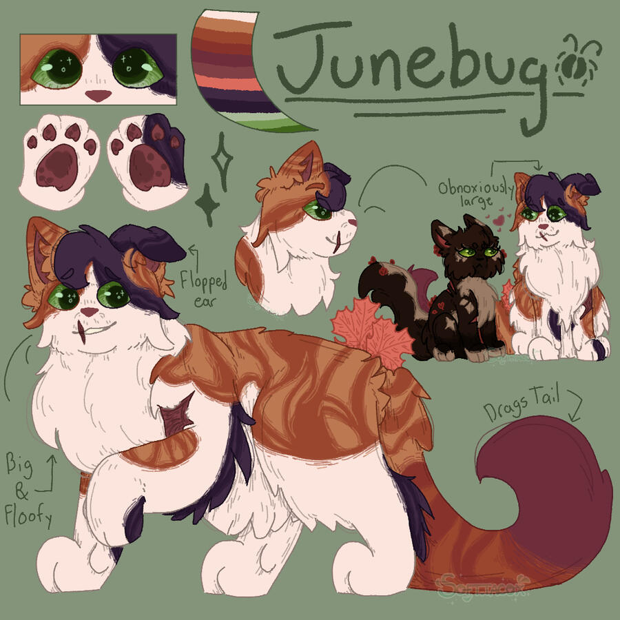 Oc - Junebug Ref 2025